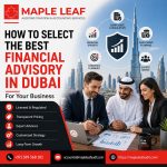 Best Financial Advisory in Dubai