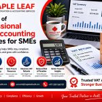 VAT Accounting Services in Dubai