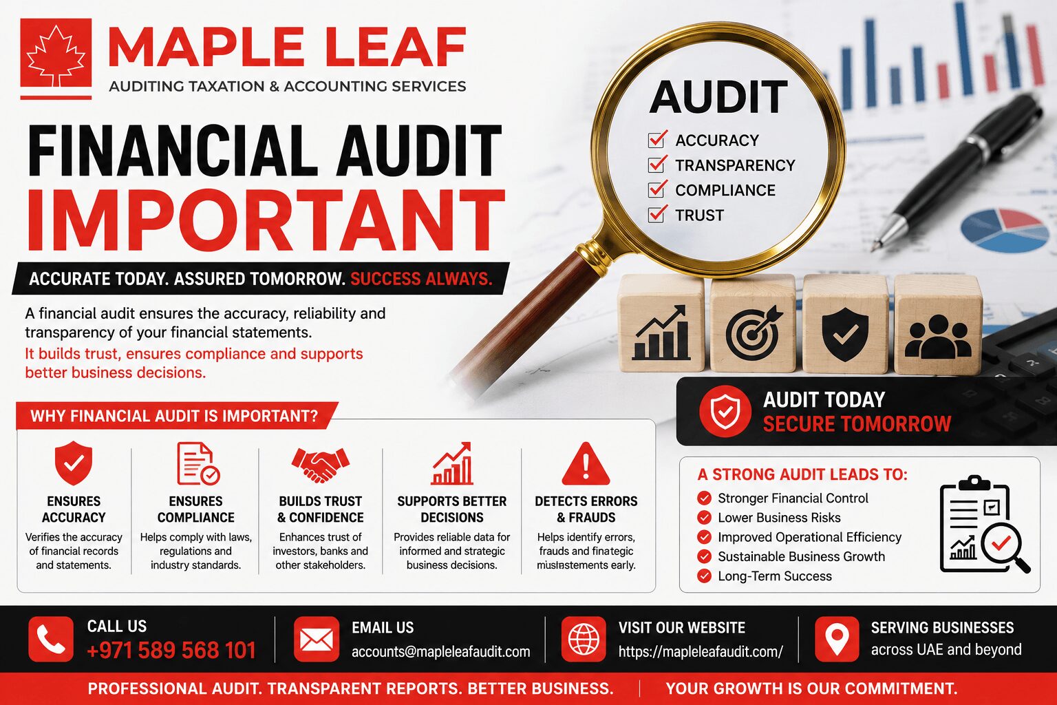 Financial Audit