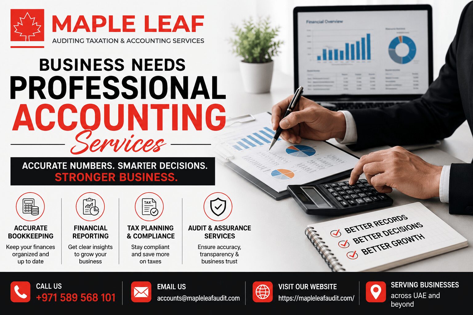 Professional Accounting Services