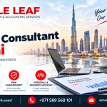 Best Financial Consultant Dubai