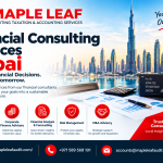 Financial Consulting Services Dubai