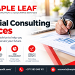 Financial Consulting Services Dubai
