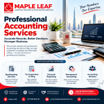 Professional accounting services