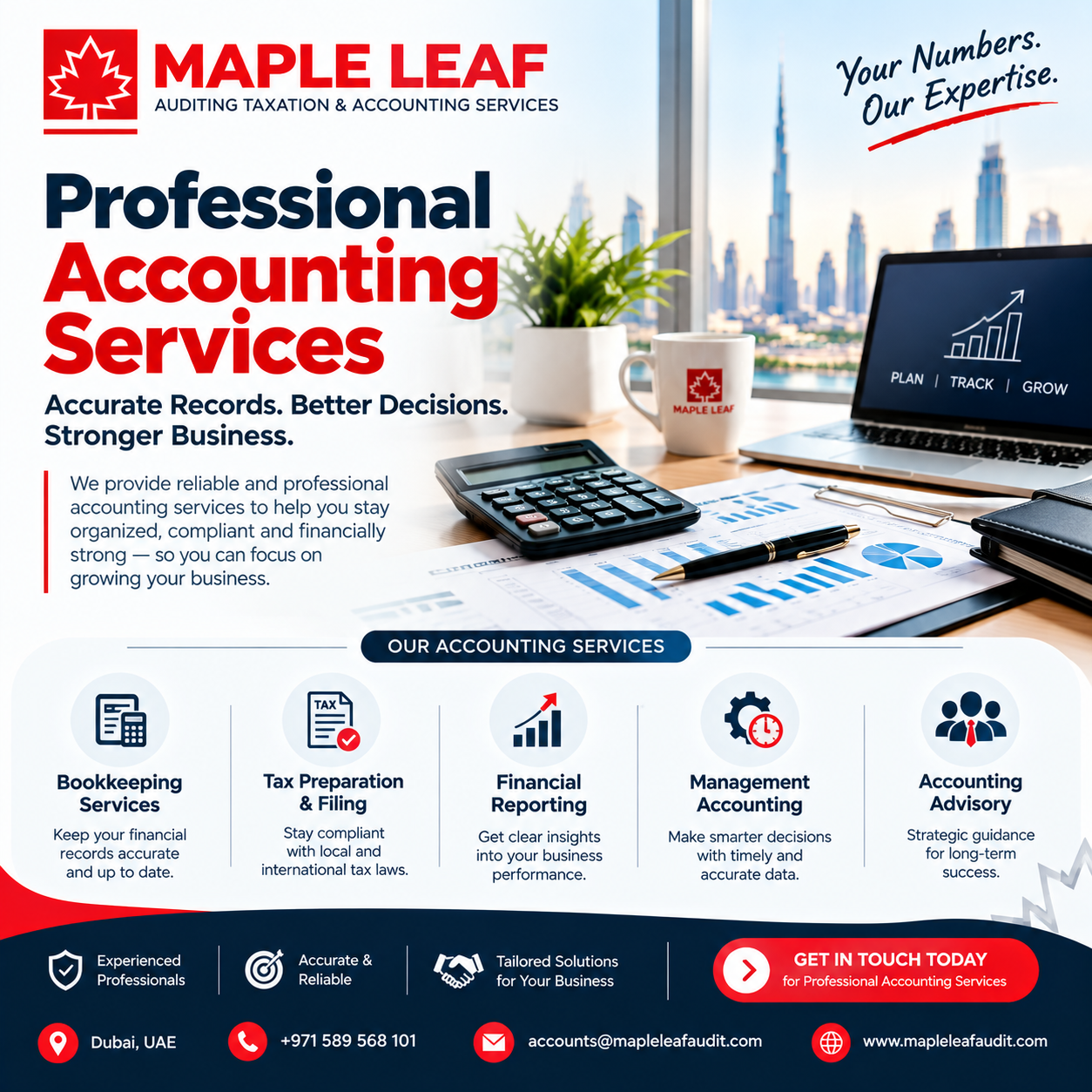 Professional accounting services