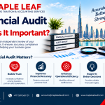 financial audit